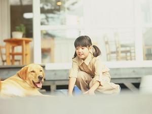 【緑の森どうぶつ病院】自然とともに温かみあふれるログハウス式動物病院の全て