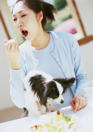 ペット保険は犬のために加入しましょう