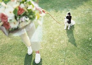 シロアリ駆除の信頼のアサンテ：即日対応・土日祝も受付の安心サービス