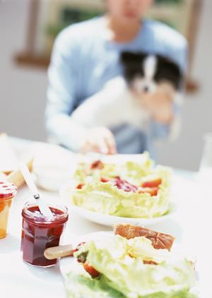 アサンテのシロアリ駆除サービス｜安心・安心の即日対応・土日祝も対応可能